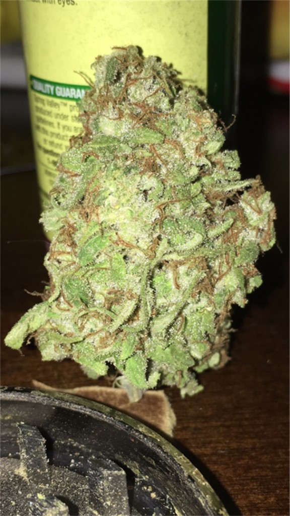 Seattle Cough