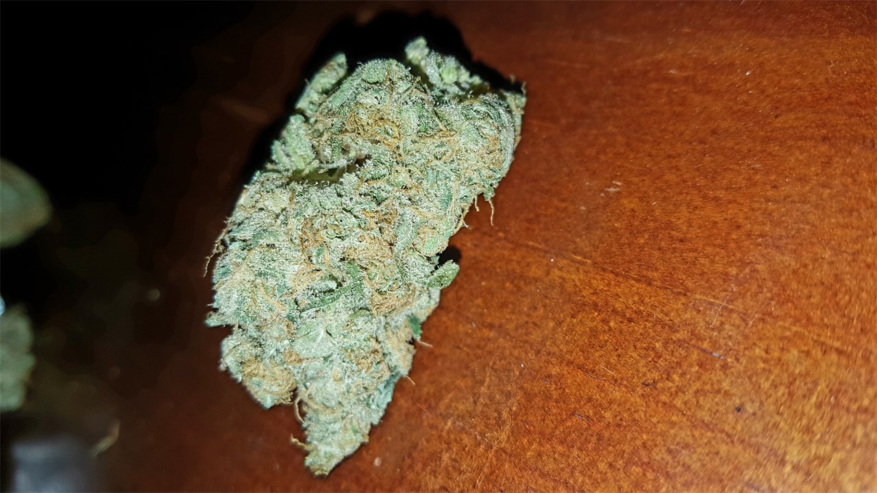 Sequoia Strawberry