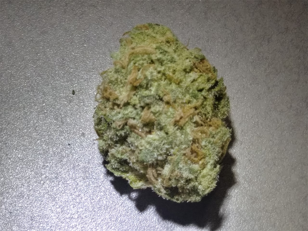 Foto de la variedad Serious Happiness