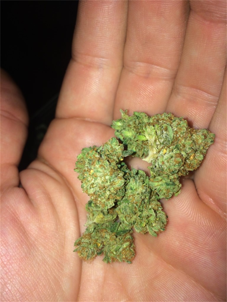 Sexxpot