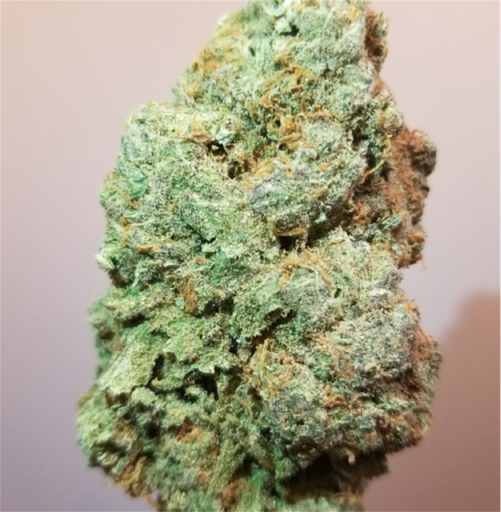 Foto de la variedad Silver Haze