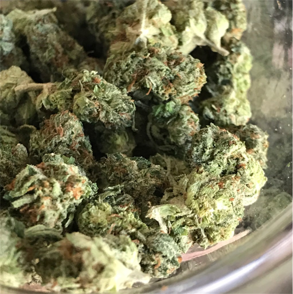 Foto de la variedad Silver Train