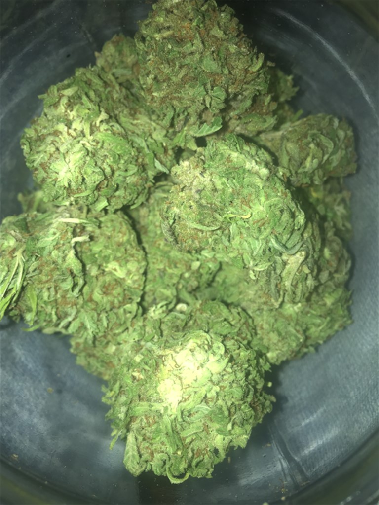 Foto de la variedad Skunkdog