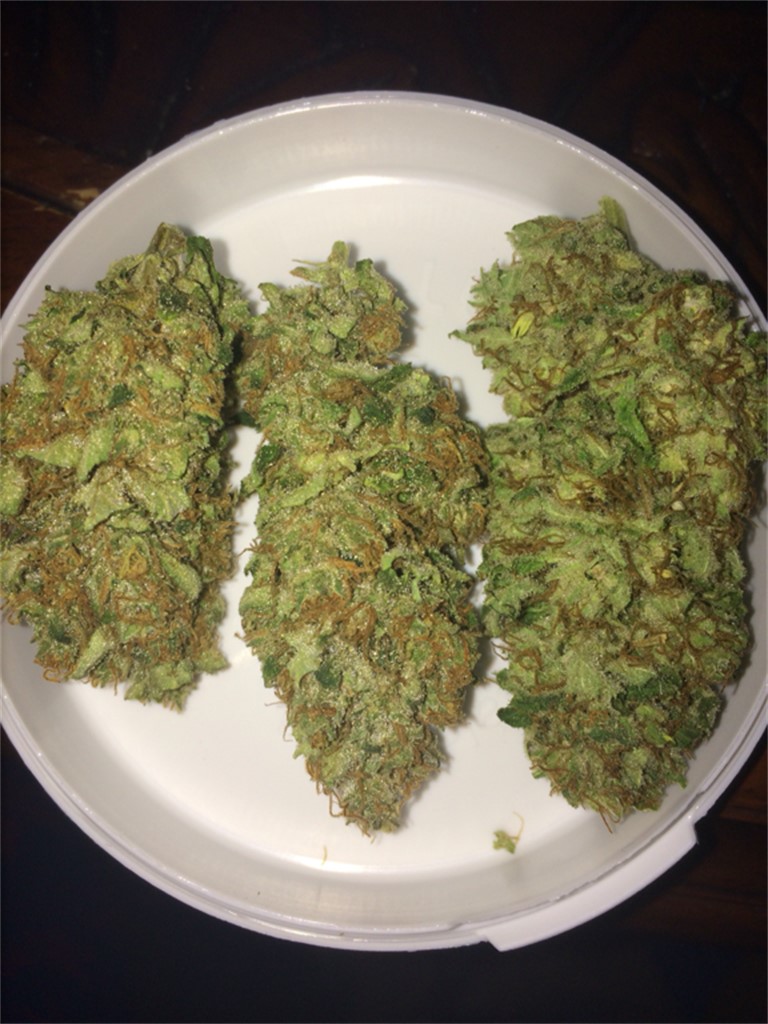 Skunk Haze