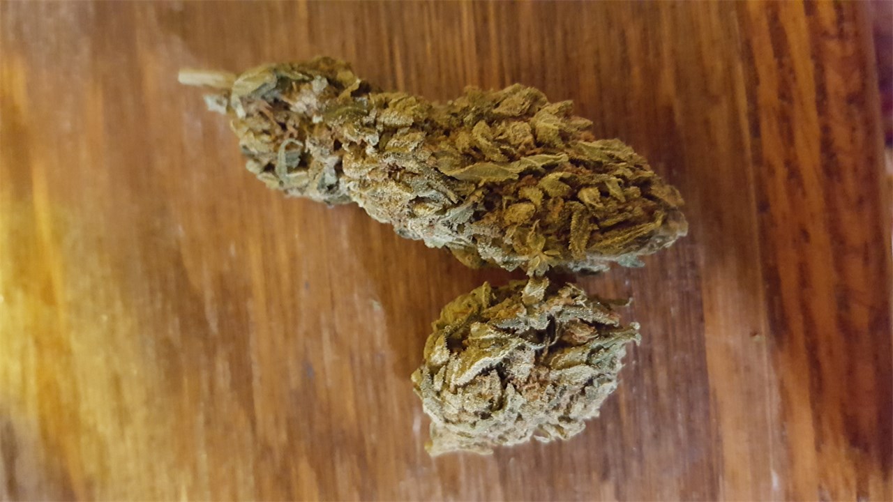 Skunky Diesel