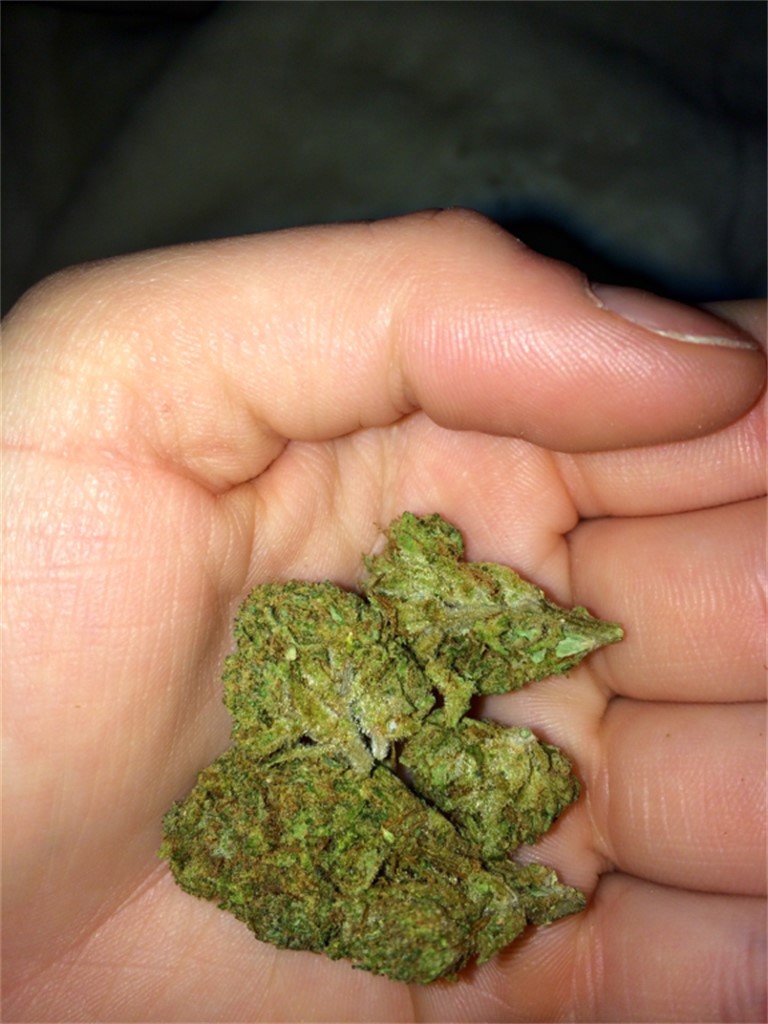 Skydog