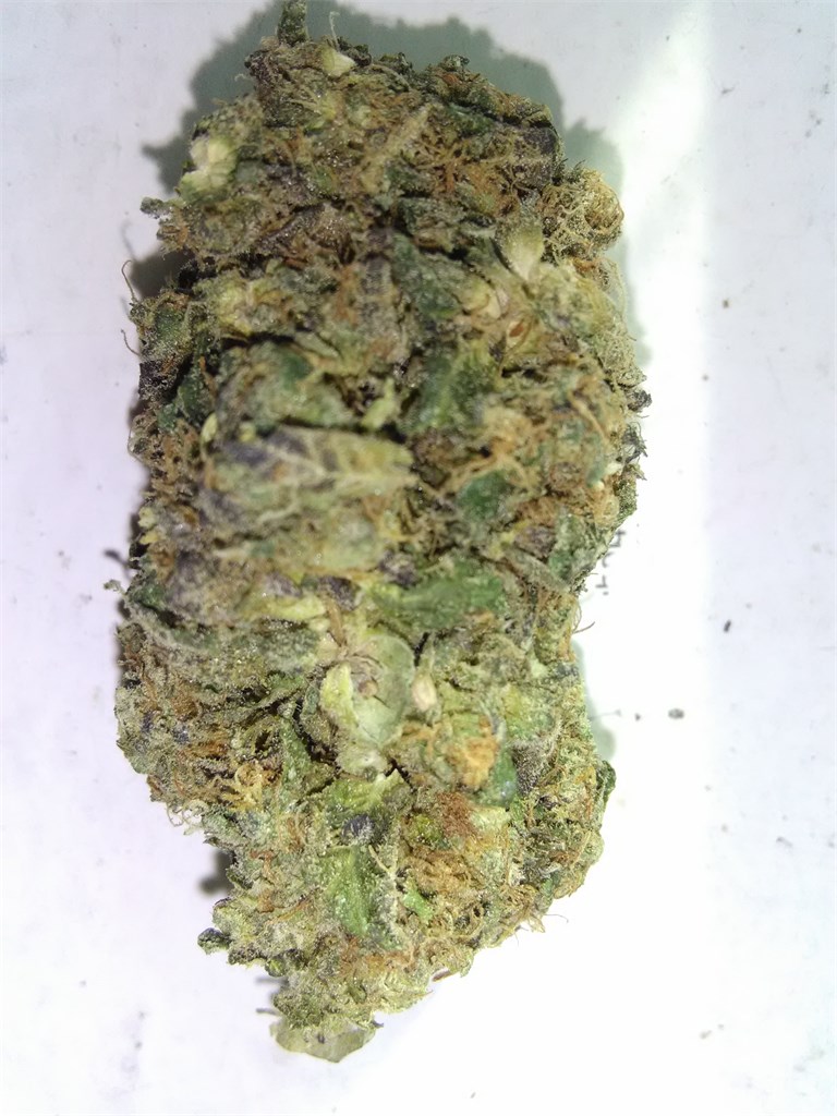 Skywalker Alien