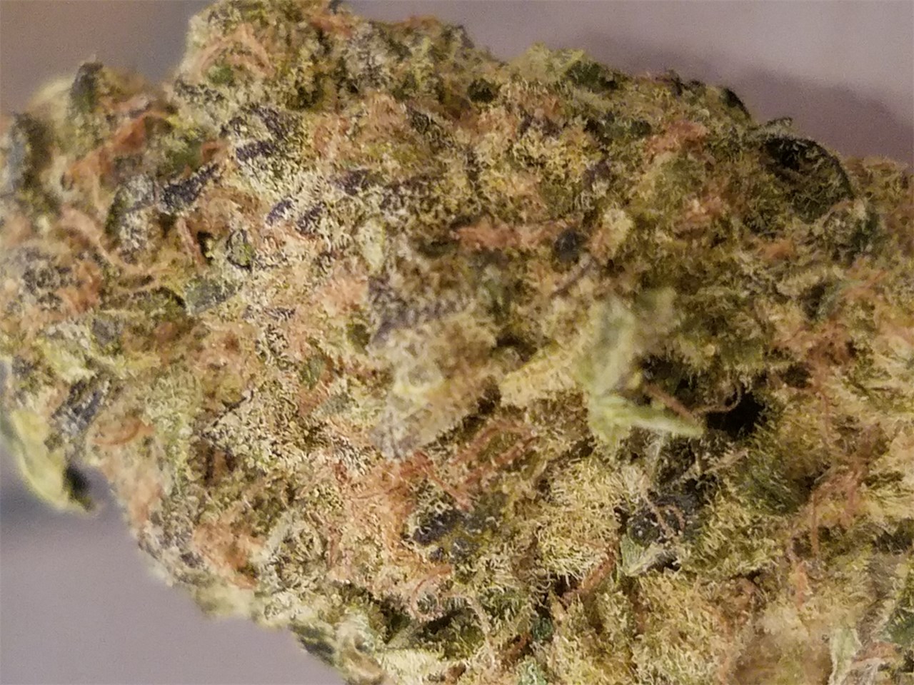 STIIIZY: SKYWALKER OG - PREMIUM THC POD 1G | Leafly