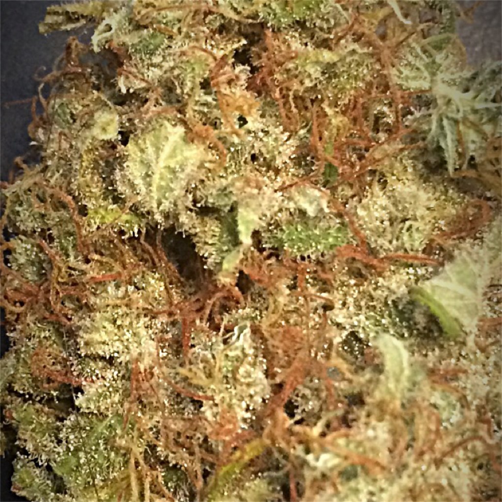 Snow White