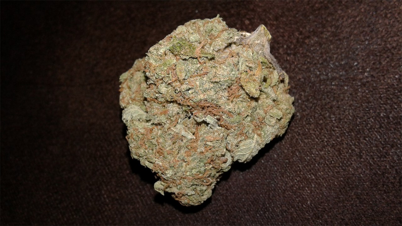 Sojay Haze