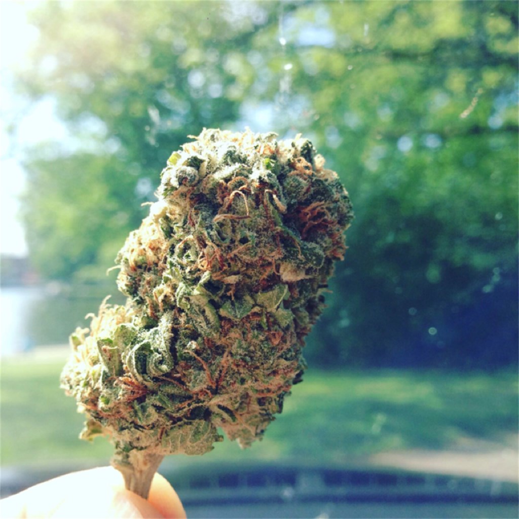 Somango+