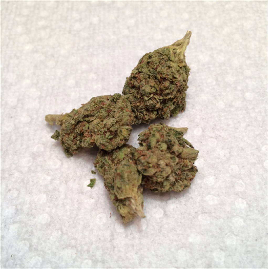 Sour Amnesia