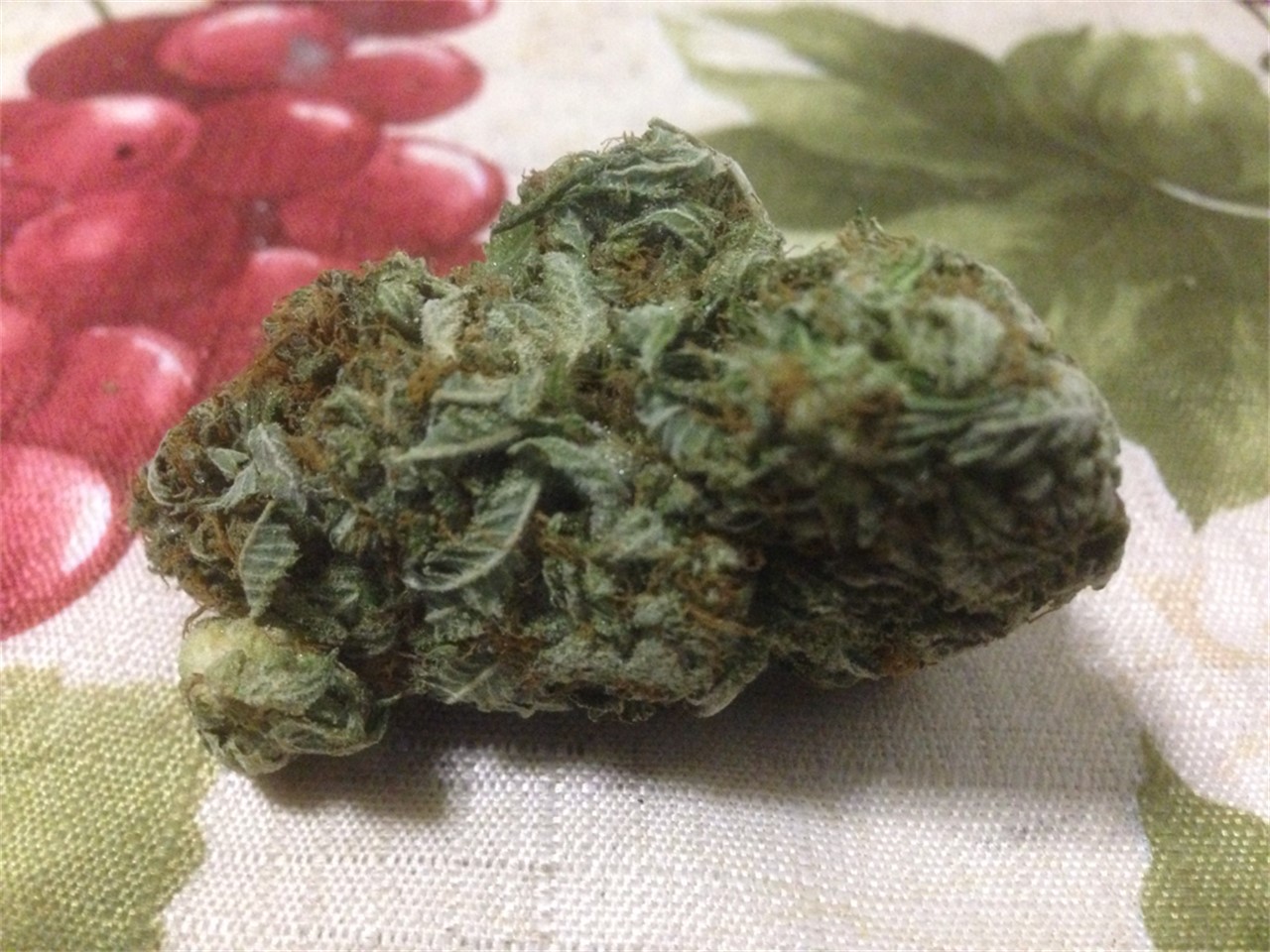 Sour Bubble