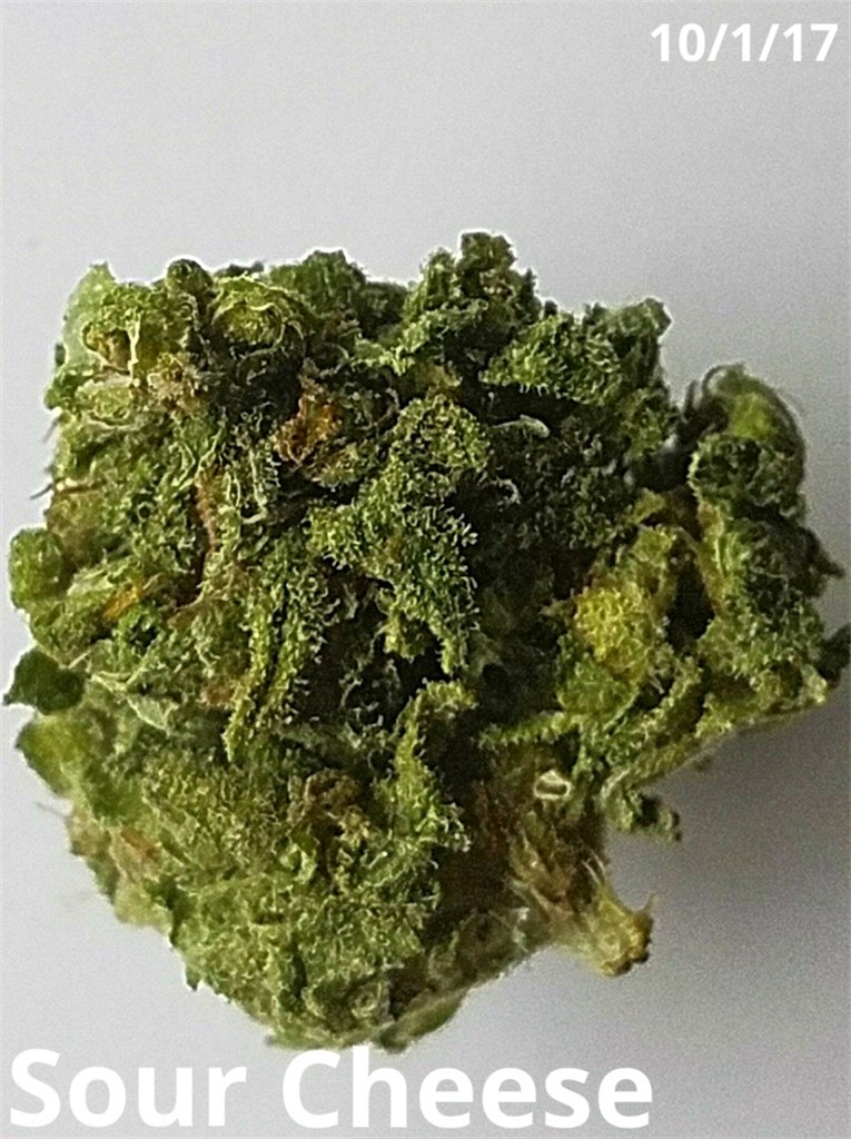 Foto de la variedad Sour Cheese