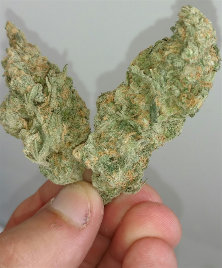 Sour Dream