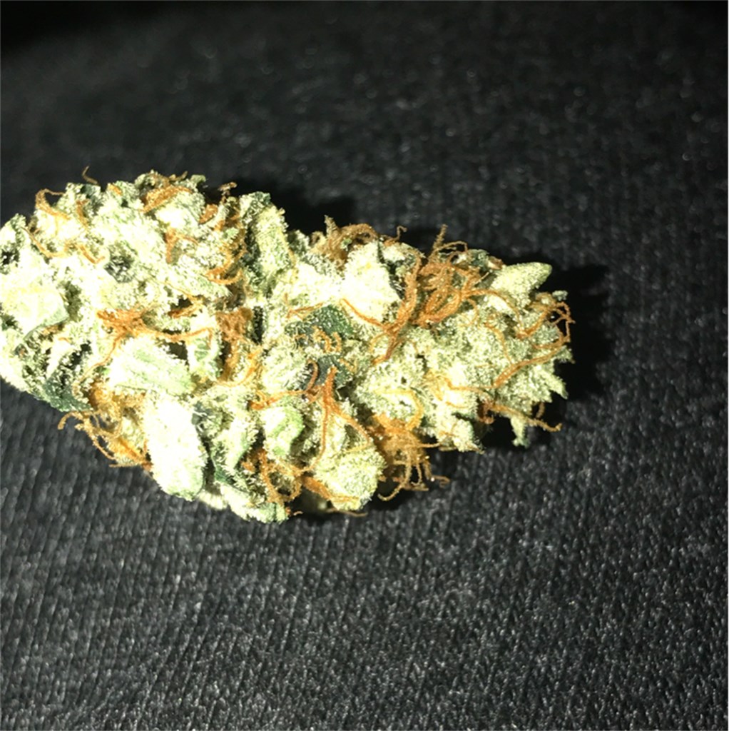 Foto de la variedad Sour Double