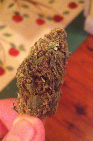 Sour Flower