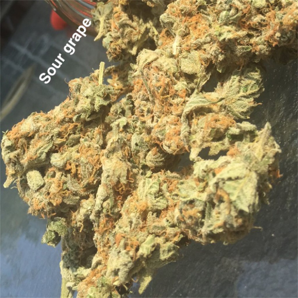 Sour Grape