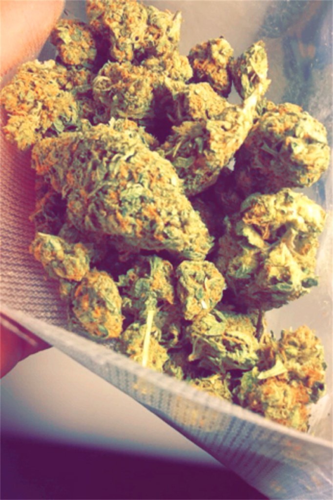 Foto de la variedad Sour Diesel Haze