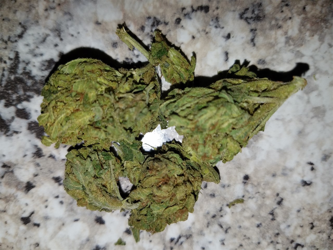 Sour Haze