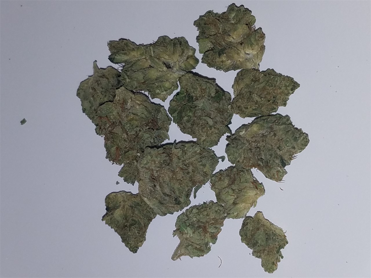 Foto de la variedad Sour Joker