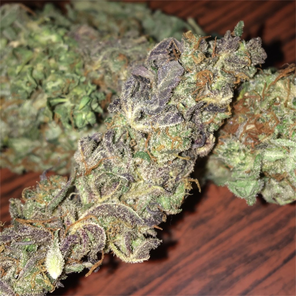 Sour Kush