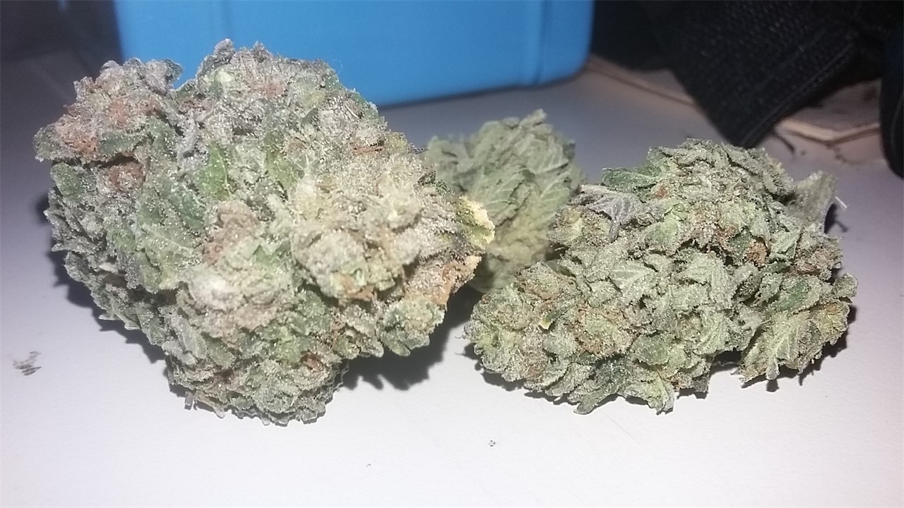 Sour Lemon OG