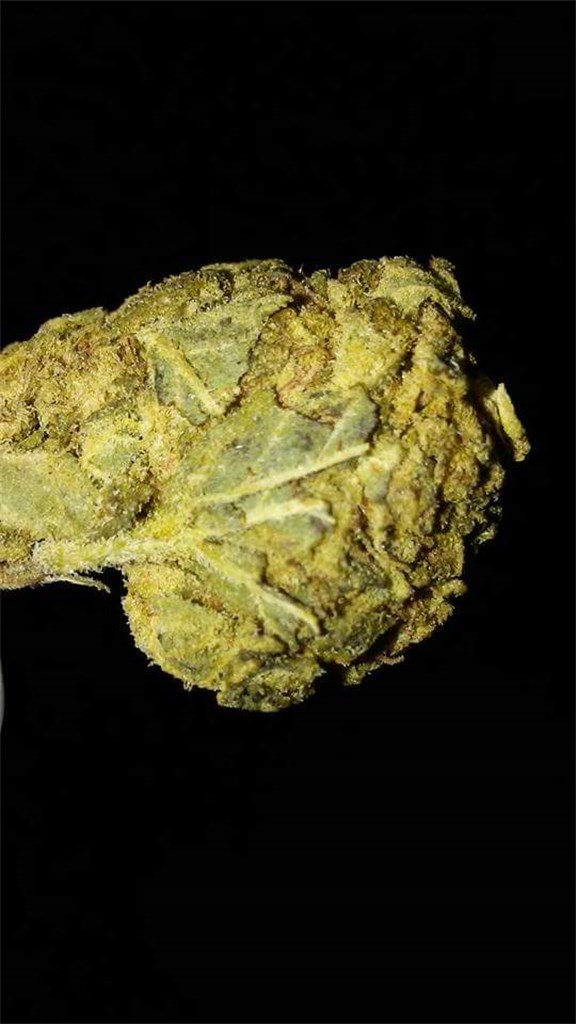 Sour Lemon