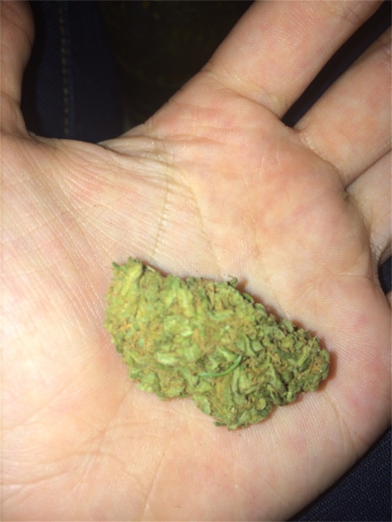 Foto de la variedad Sour LSD
