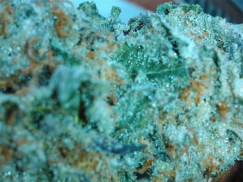 Sour Pebbles