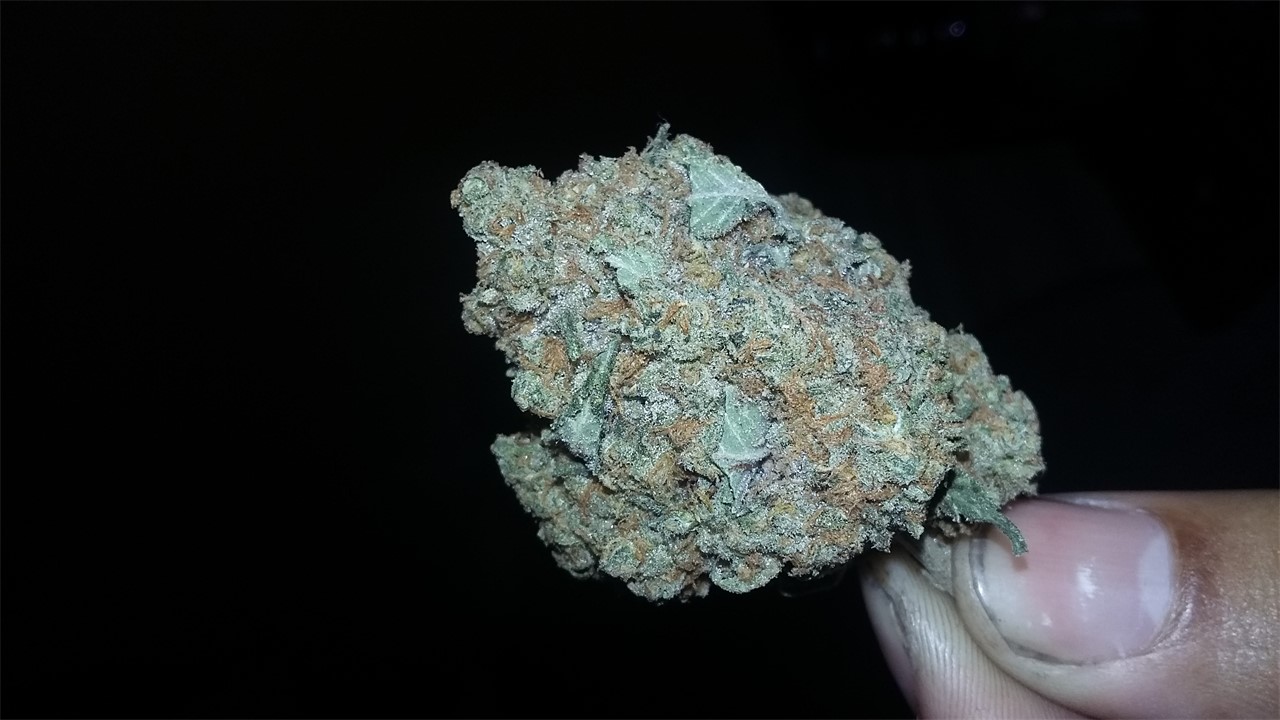 Foto de la variedad Durban Diesel