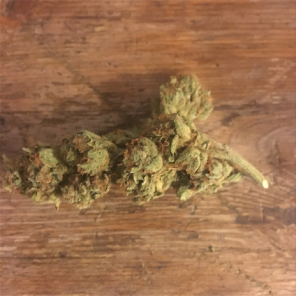 Foto de la variedad Sour Spyder