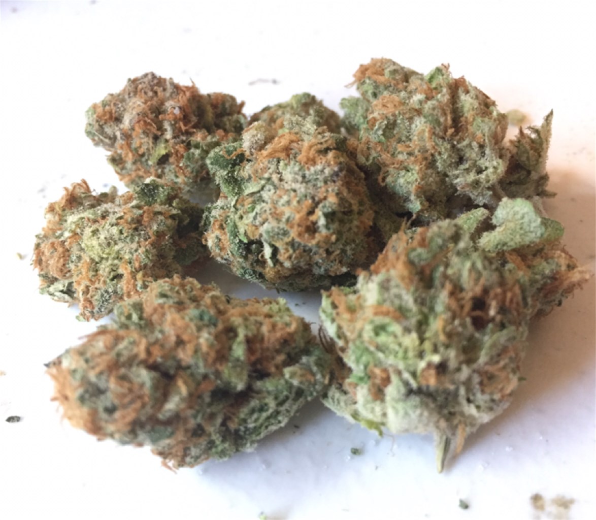 Foto de la variedad Sour Urkel