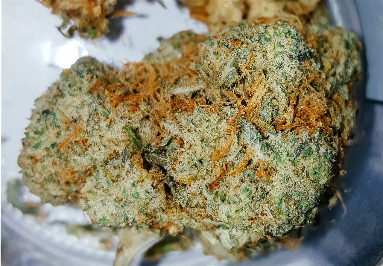 Sour Willie