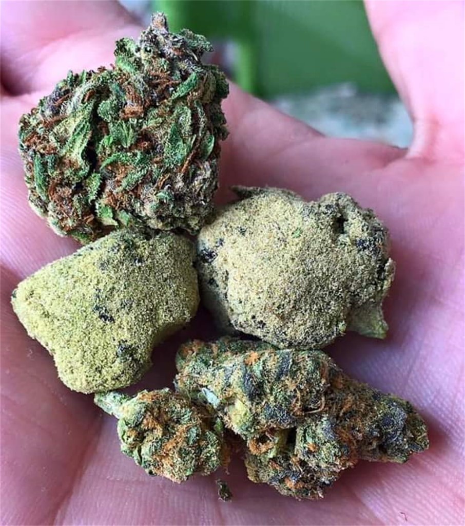 South Indian Indica
