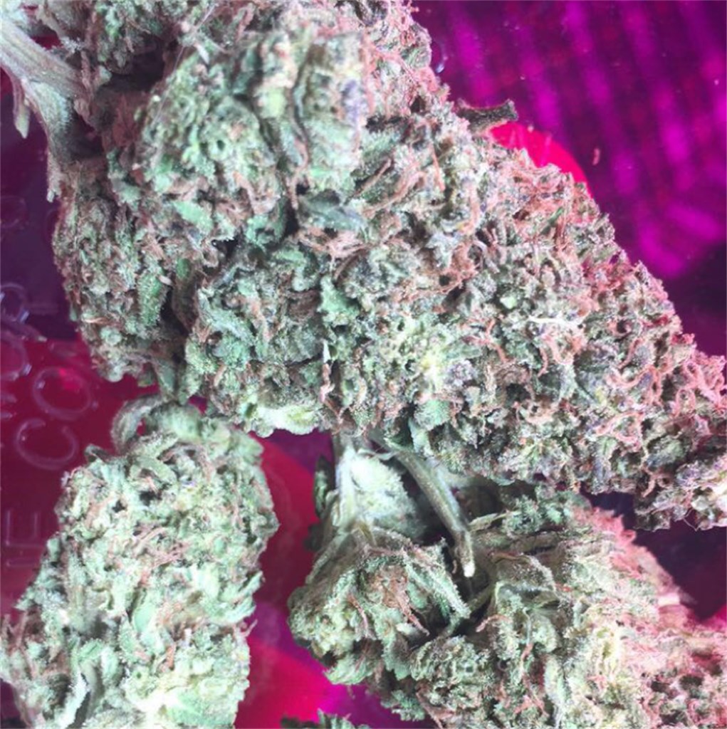 Space Bomb
