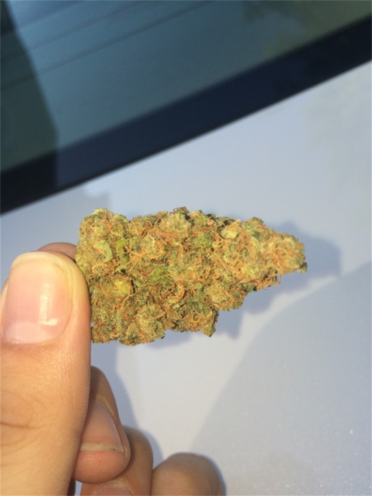 Foto de la variedad Space Needle