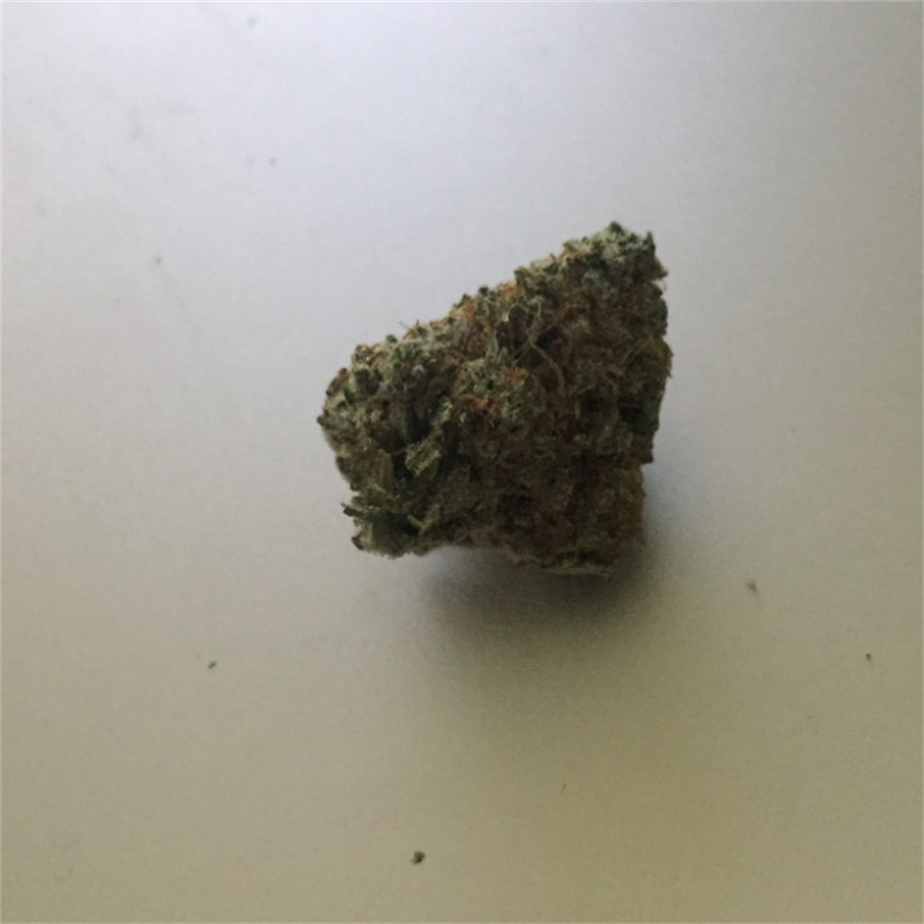 Starbud