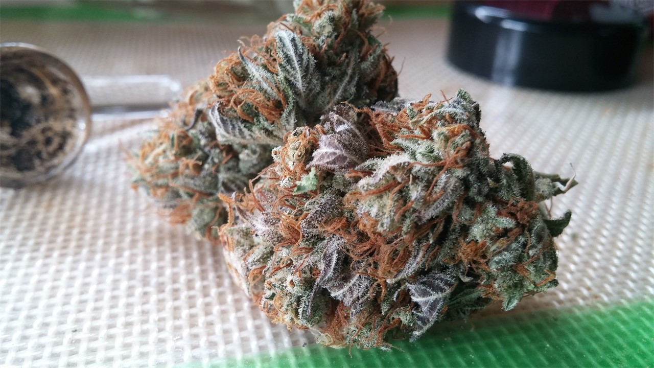 Stephen Hawking Kush