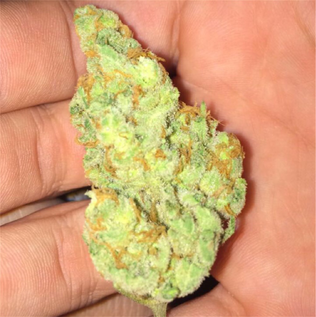 Photos Of Strawberry Banana Weed Strain Buds Leafly