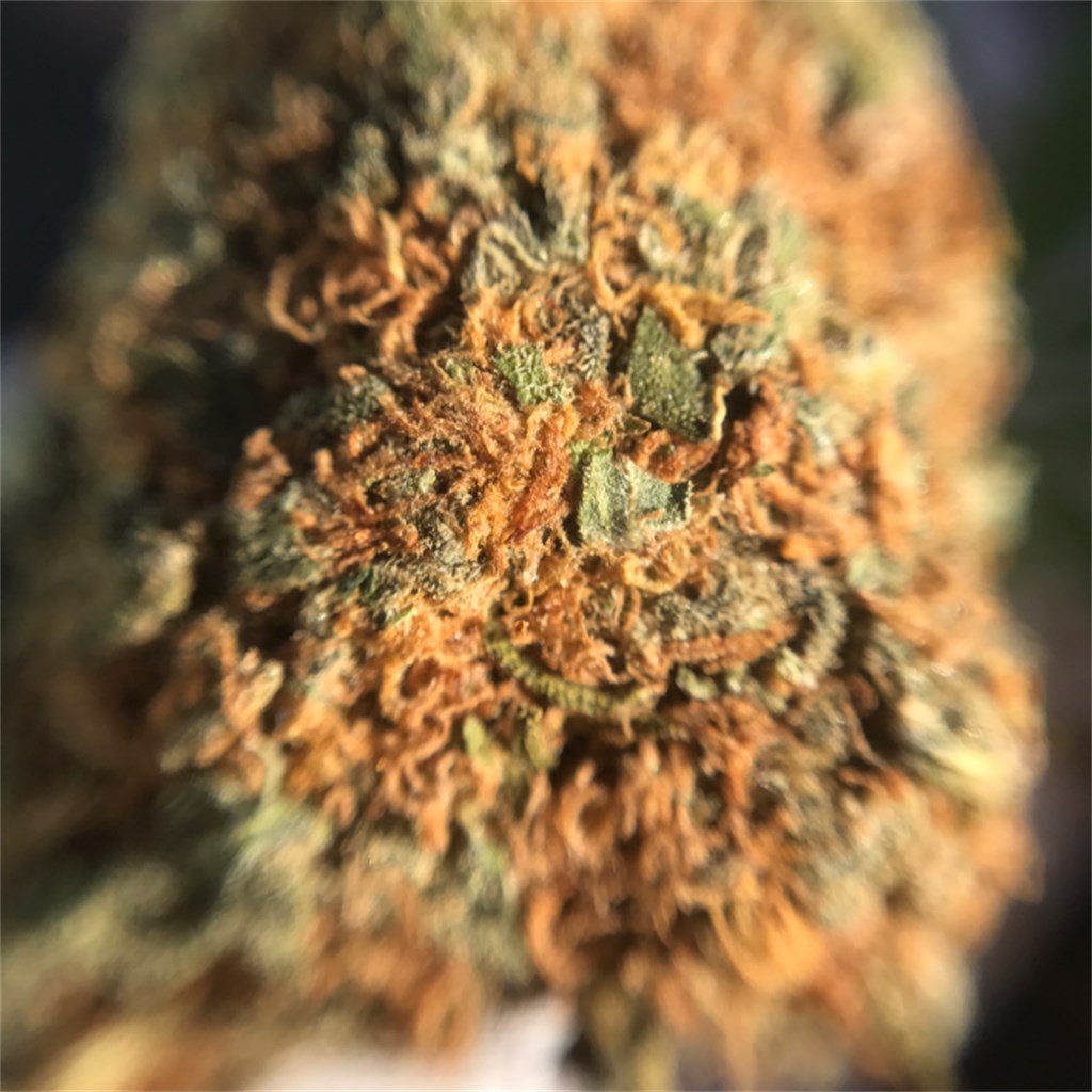 Strawberry Diesel