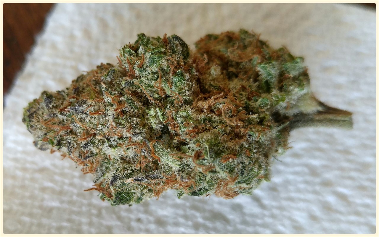 Strawberry Fields