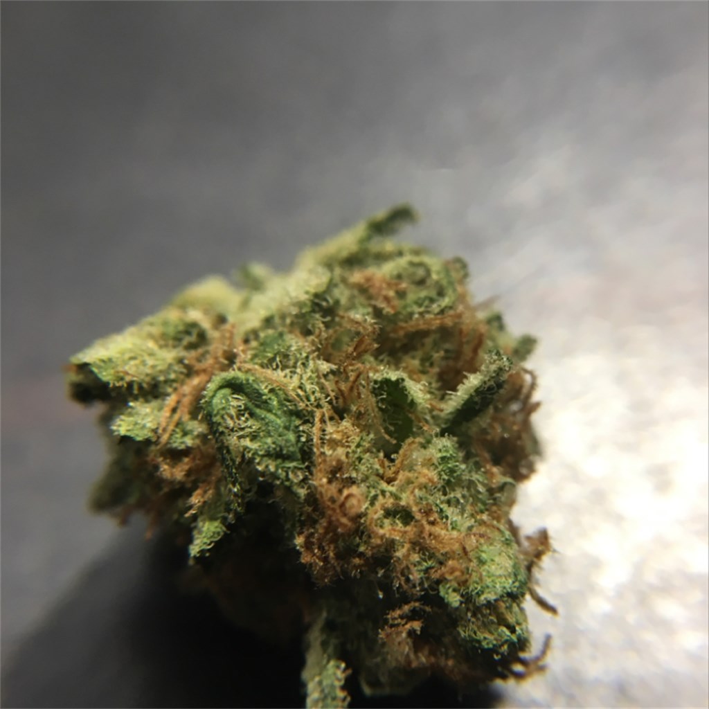 Foto de la variedad Strawberry Fields