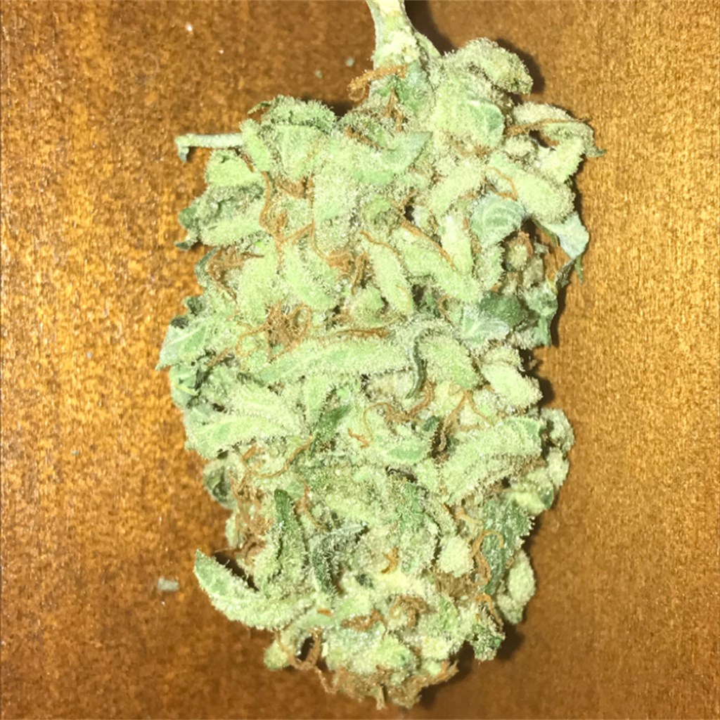 Foto de la variedad Strawberry Ice