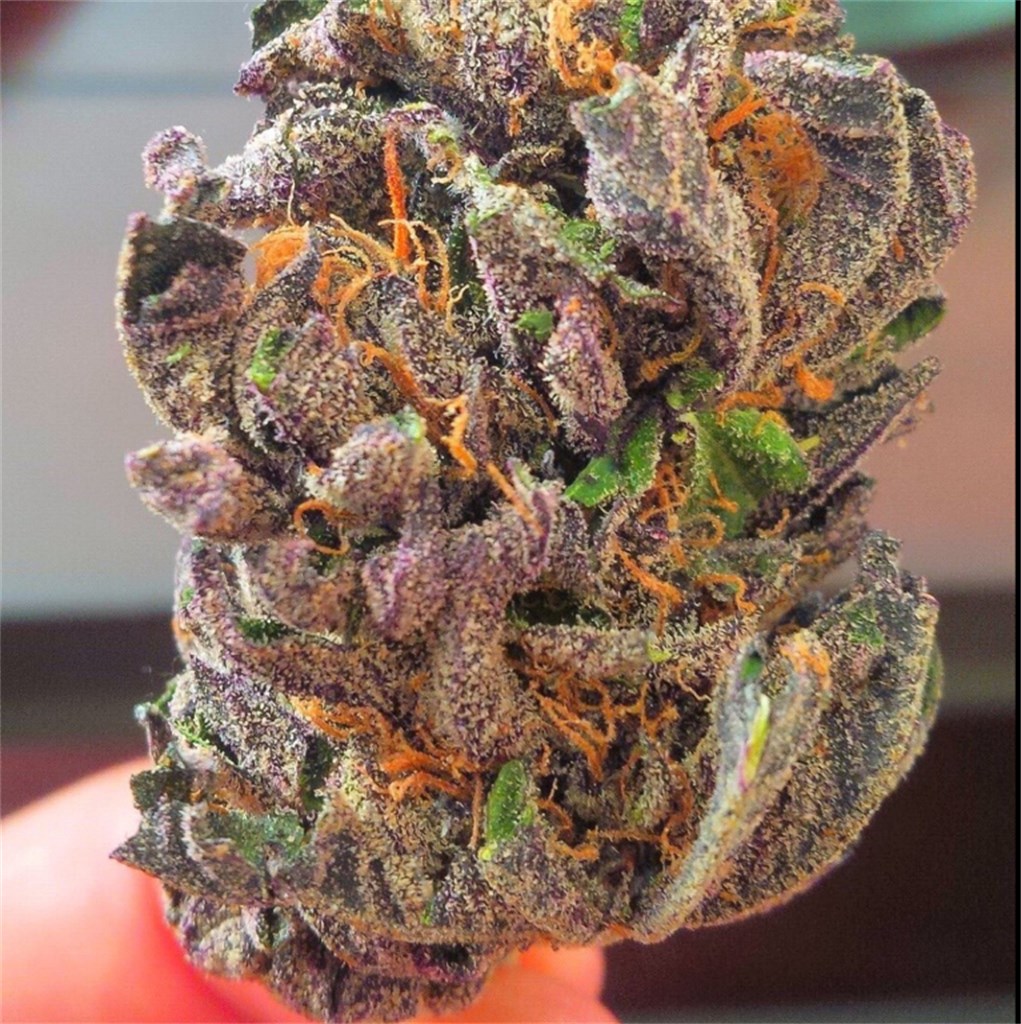 Strawberry Mango Haze