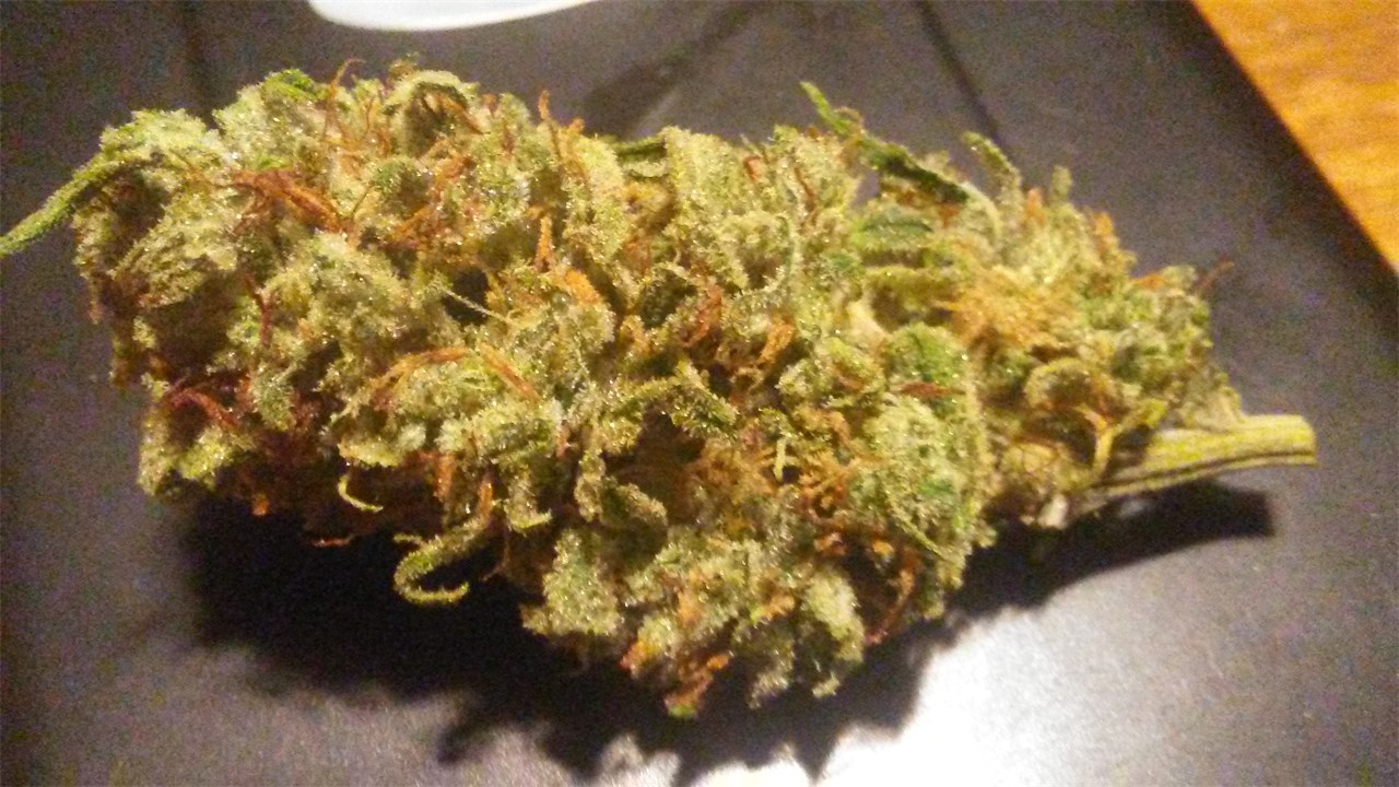 Sugar Punch