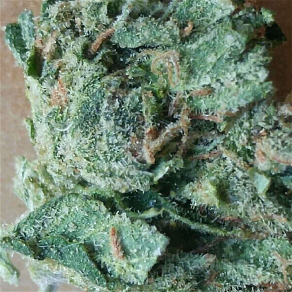 Super Chronic