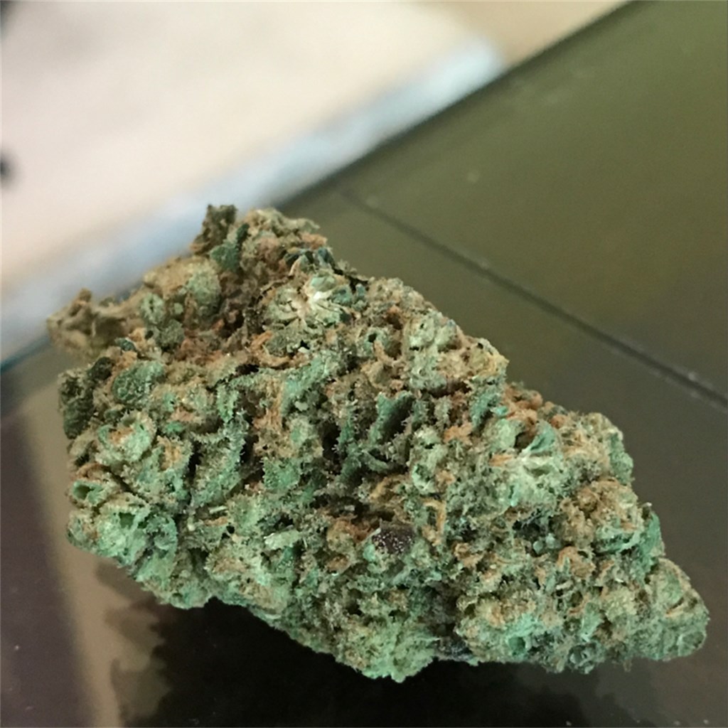Foto de la variedad Super Jack