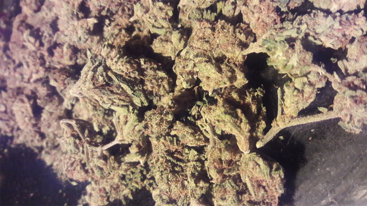 Foto de la variedad Superman OG