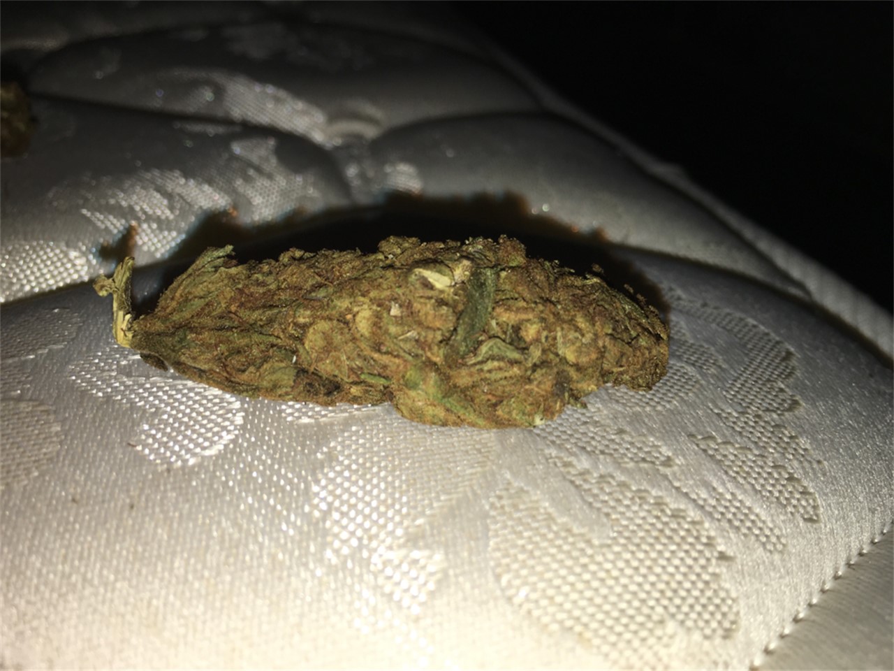 Foto de la variedad Swazi Gold
